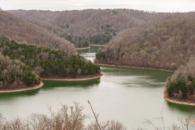 42 Deer Path Court, Smithville, TN 37166