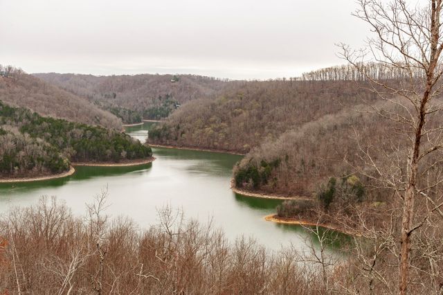 42 Deer Path Court, Smithville, TN 37166