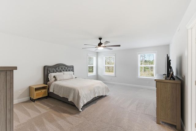 228 Wappoo Trace Lane, Summerville, SC 29486