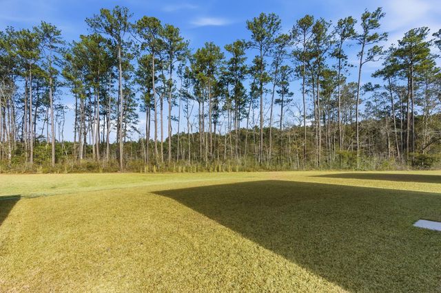 228 Wappoo Trace Lane, Summerville, SC 29486