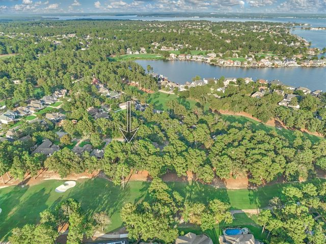 56 Waterberry Court, Montgomery, TX 77356