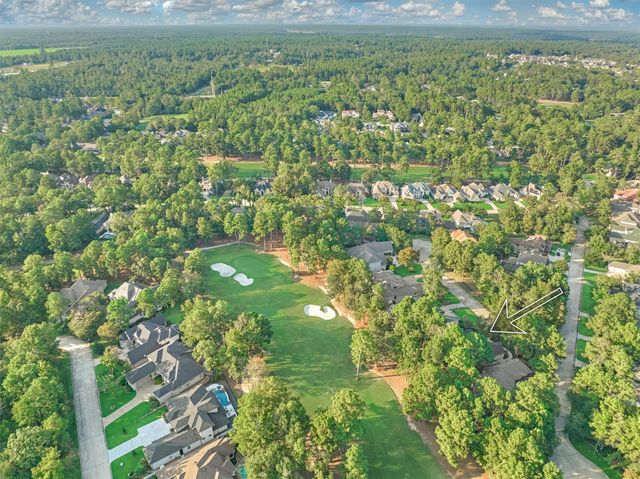 56 Waterberry Court, Montgomery, TX 77356