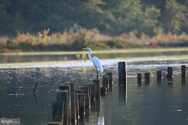 TATUM DR, Mineral, VA 23117