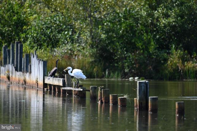 TATUM DR, Mineral, VA 23117