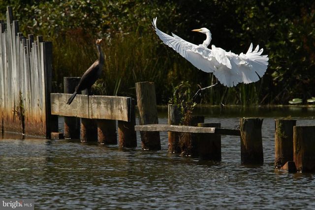 TATUM DR, Mineral, VA 23117