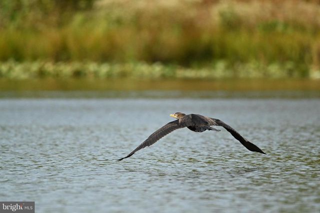 TATUM DR, Mineral, VA 23117