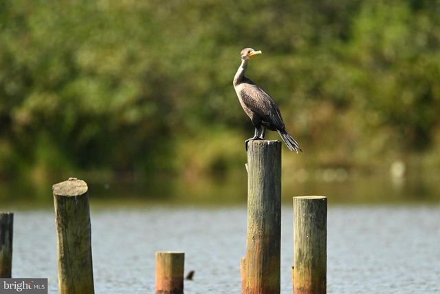 TATUM DR, Mineral, VA 23117