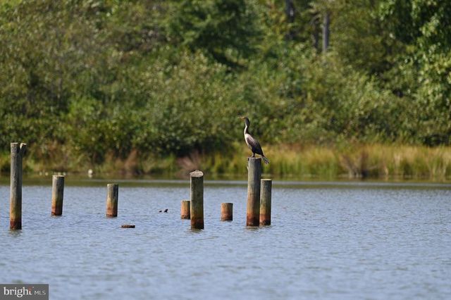 TATUM DR, Mineral, VA 23117