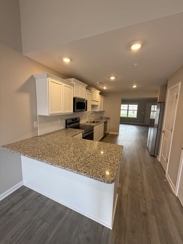 316 Selesia Lane, Pleasant View, TN 37146