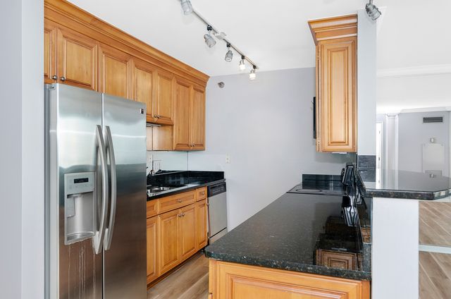 345 N La Salle Drive 4502, Chicago, IL 60654