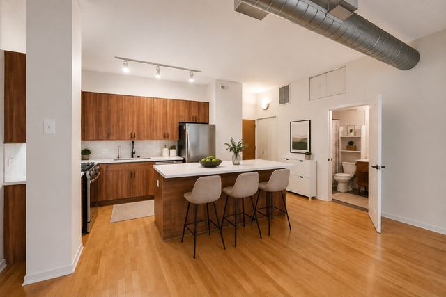 1631 S Michigan Avenue 502, Chicago, IL 60616