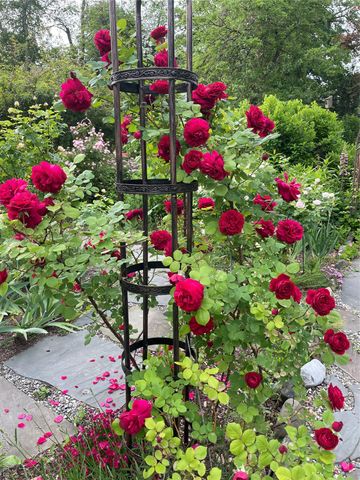 33 Fulmar Road, Mahopac, NY 10541