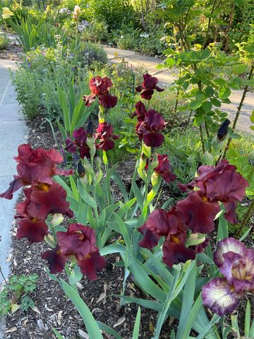 33 Fulmar Road, Mahopac, NY 10541