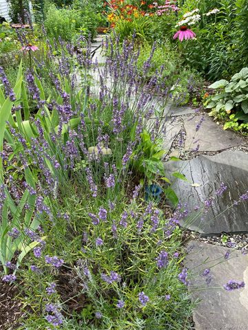 33 Fulmar Road, Mahopac, NY 10541