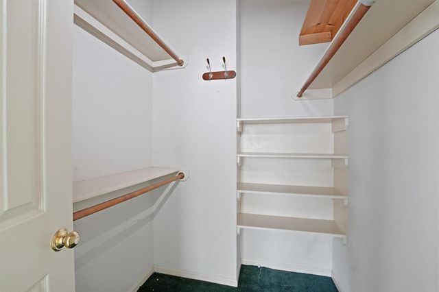 50 E Trillium Circle, The Woodlands, TX 77381