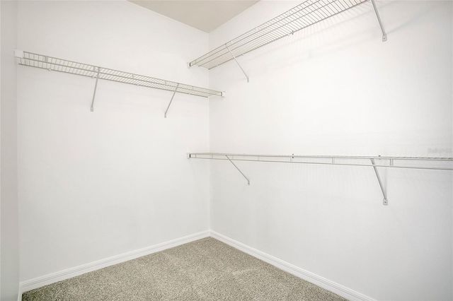 7806 TANBIER DRIVE, Orlando, FL 32818