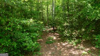 0 Hwy 136 (3.12 Acres), Dawsonville, GA 30534