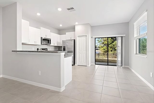 23330 PAPYRUS WAY, Lutz, FL 33559