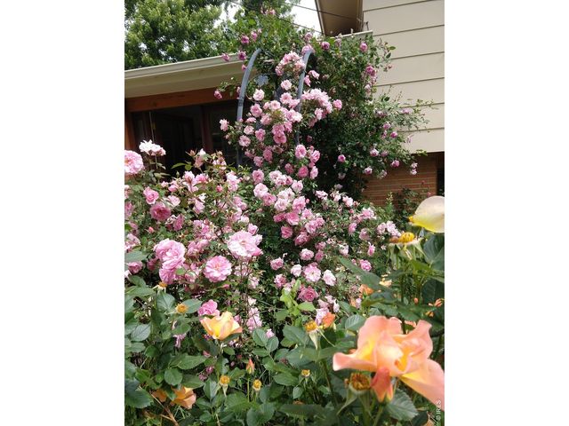 650 Hartford Dr, Boulder, CO 80305