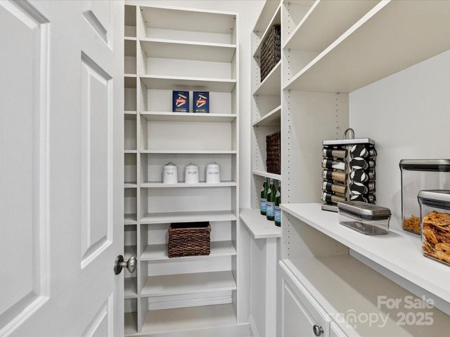 15611 Ballantyne Country Club Drive, Charlotte, NC 28277