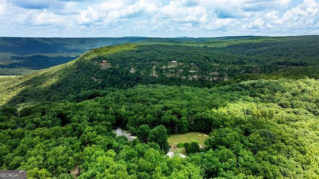 1390 Tatum Gulf Road, Cloudland, GA 30731