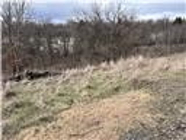 0 Williams Street, South Strabane, PA 15301