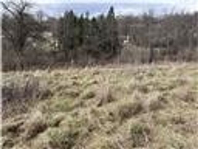 0 Williams Street, South Strabane, PA 15301