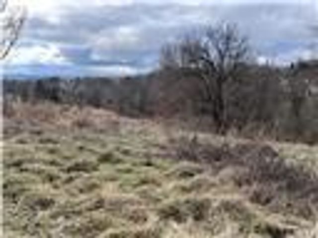 0 Williams Street, South Strabane, PA 15301