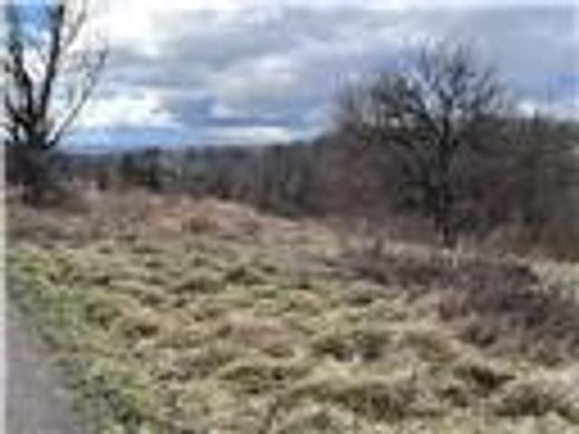 0 Williams Street, South Strabane, PA 15301