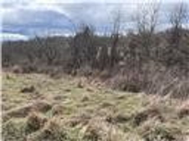 0 Williams Street, South Strabane, PA 15301