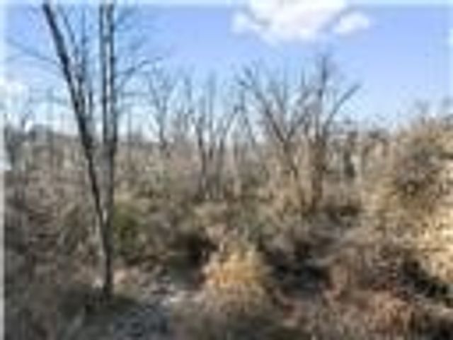 0 Williams Street, South Strabane, PA 15301