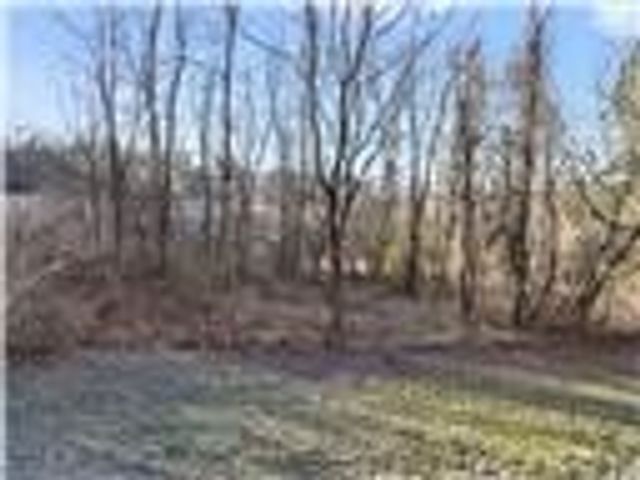 0 Williams Street, South Strabane, PA 15301