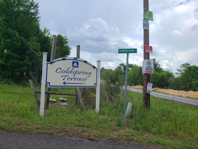 40 Pine Shadows Lane, Coldspring, TX 77331