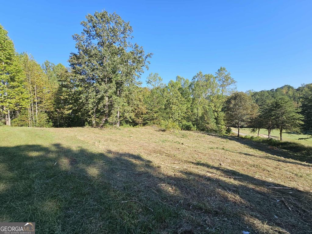 256 Golf Ridge Way, Toccoa, GA 30577 — photo 3
