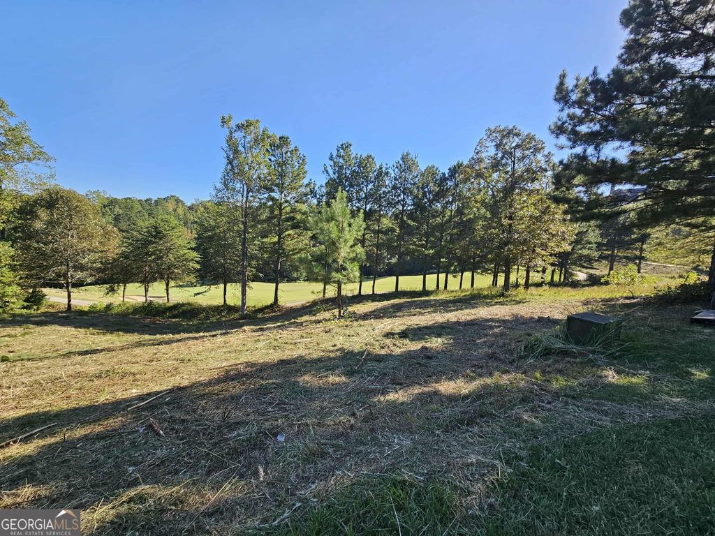 256 Golf Ridge Way, Toccoa, GA 30577 — photo 4