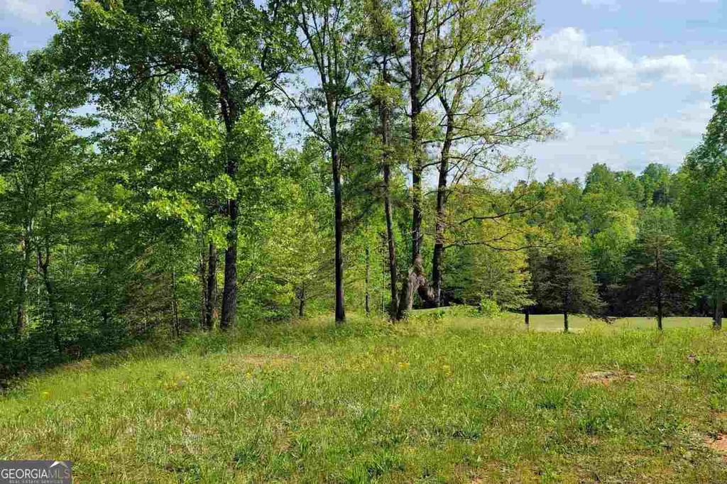 256 Golf Ridge Way, Toccoa, GA 30577 — photo 5