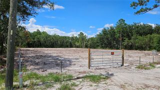 35391 OVERCUP DRIVE, Webster, FL 33597