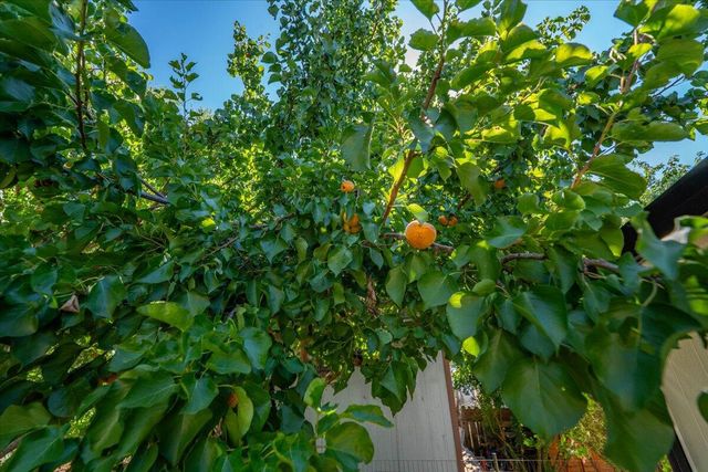 25260 Orange Street, Los Molinos, CA 96055