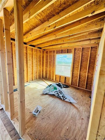 22417 Carrizales Service Road, Edinburg, TX 78542