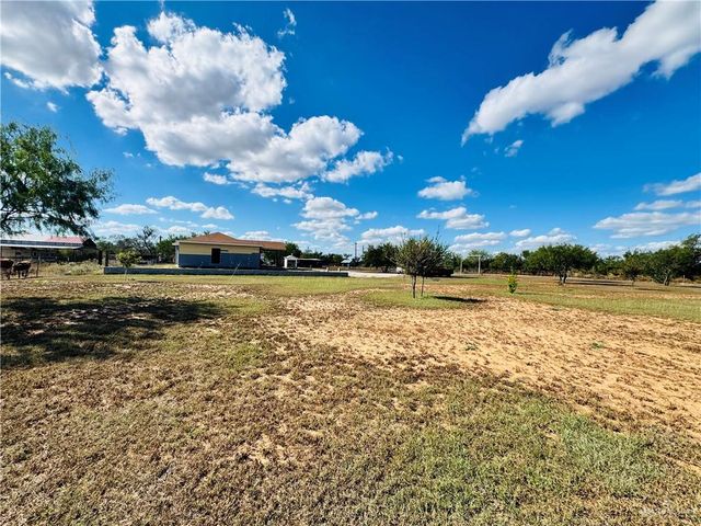 22417 Carrizales Service Road, Edinburg, TX 78542