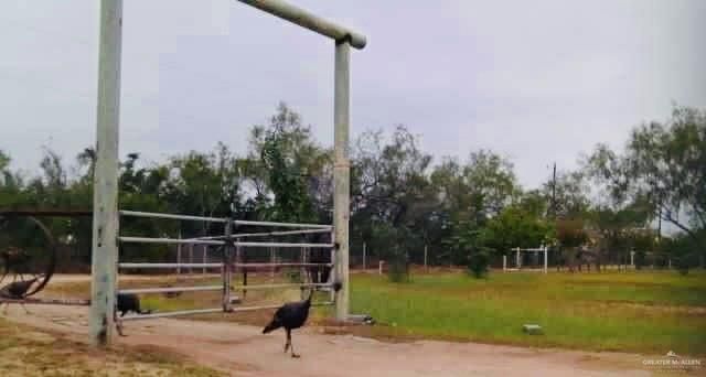 22417 Carrizales Service Road, Edinburg, TX 78542