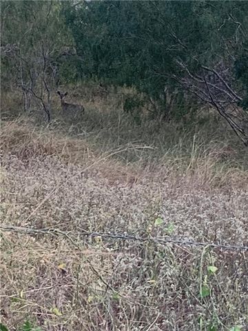 22417 Carrizales Service Road, Edinburg, TX 78542