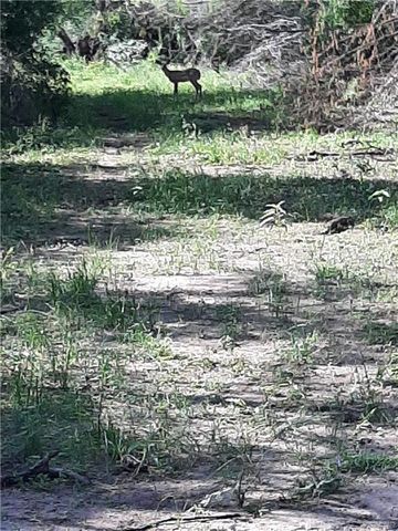 22417 Carrizales Service Road, Edinburg, TX 78542