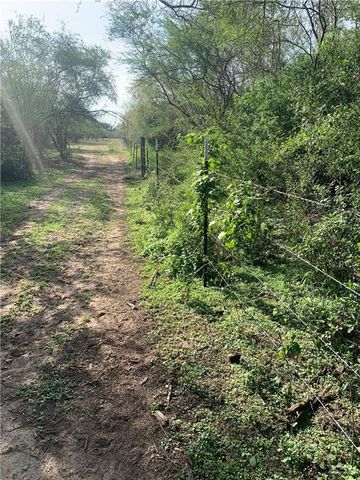 22417 Carrizales Service Road, Edinburg, TX 78542