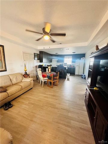 22417 Carrizales Service Road, Edinburg, TX 78542