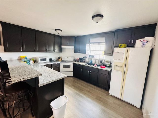 22417 Carrizales Service Road, Edinburg, TX 78542