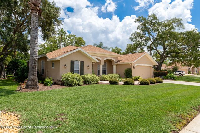 13475 Princewood Court, Spring Hill, FL 34609