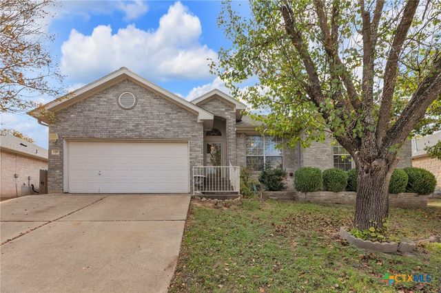2317 Chestnut Path, Round Rock, TX 78664