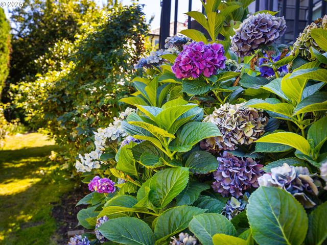 4050 SERANGO Ct, West Linn, OR 97068