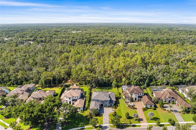14704 FISHHAWK PRESERVE DRIVE, Lithia, FL 33547